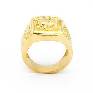 N3387 - 2.99 chỉ