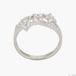 N1.0038 - 0.303 chỉ