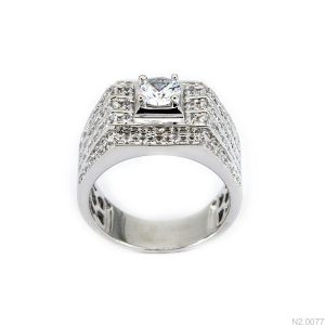 N2.0077 - 3.1 chỉ