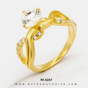 N1.0257 - 0.785 chỉ