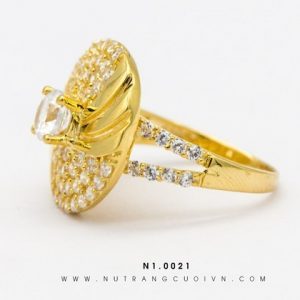 N1.0021 - 1.145 chỉ