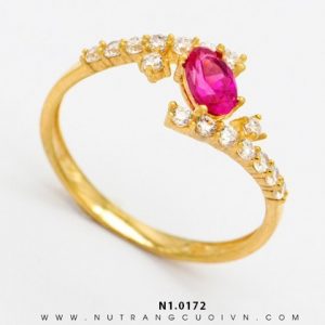 N1.0172 - 0.311 chỉ