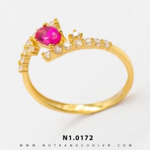 N1.0172 - 0.311 chỉ