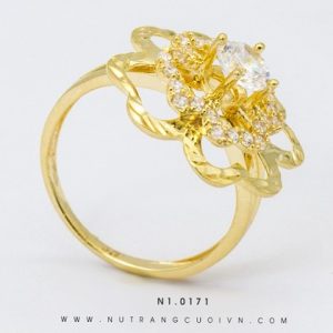 N1.0171 - 0.598 chỉ